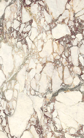 Breccia Medicea