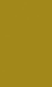 C33 Mustard Yellow