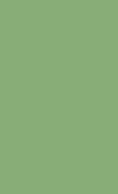 C34 Pale Green