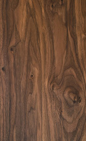 American Walnut